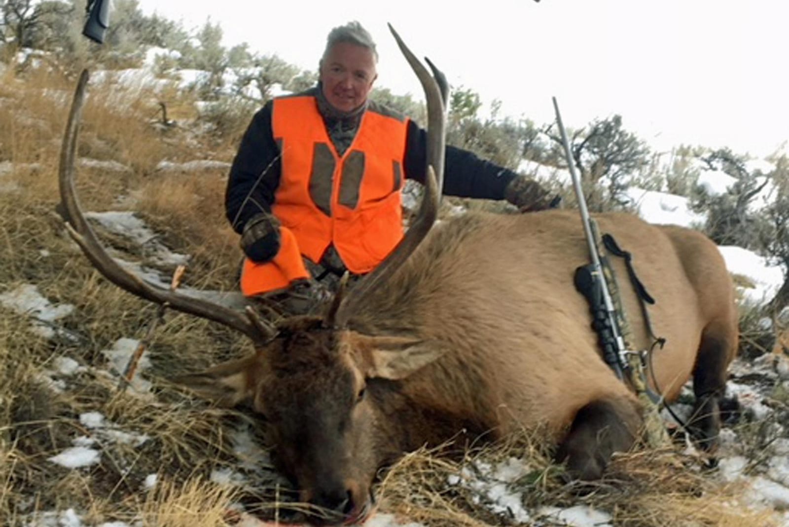 A hunter in an orange vest poses with a harvested elk in a snowy, grassy field.