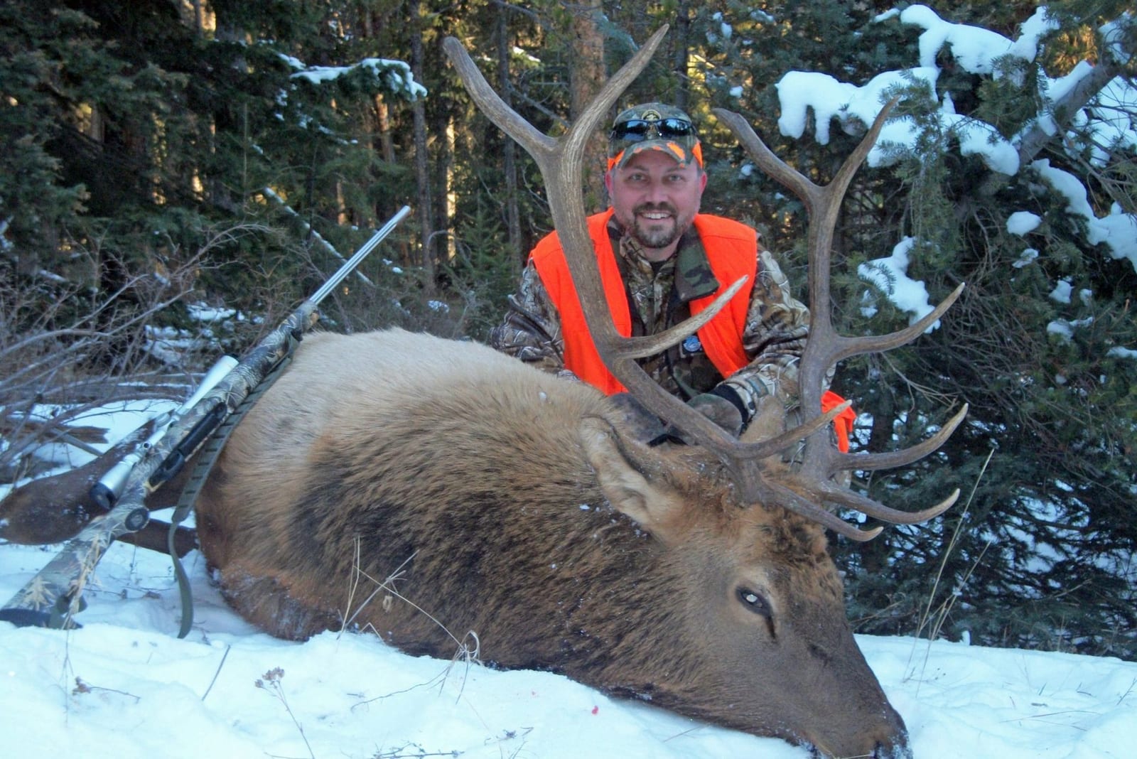 A hunter in an orange vest poses with a harvested elk in a snowy, forested environment.