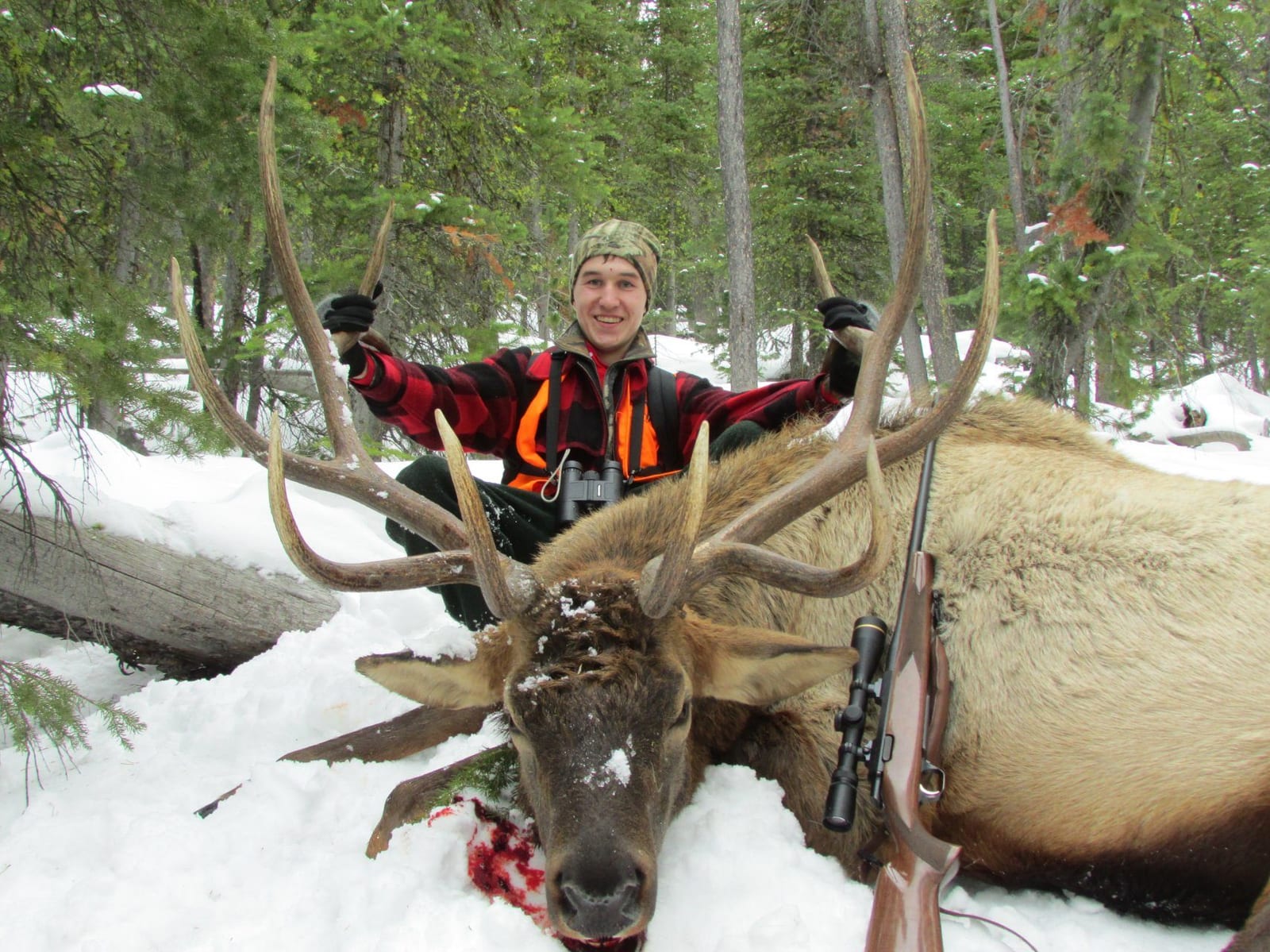 A hunter poses with a harvested elk in a snowy forest.