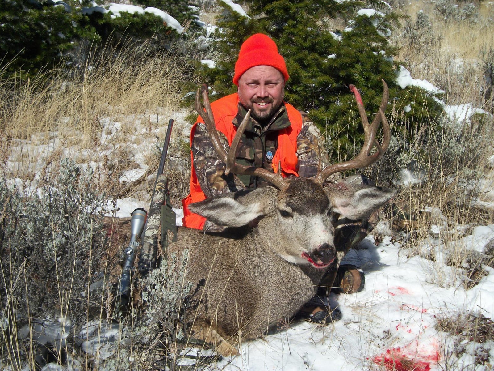 A hunter in an orange hat and vest poses with a harvested mule deer in a snowy, brushy landscape.