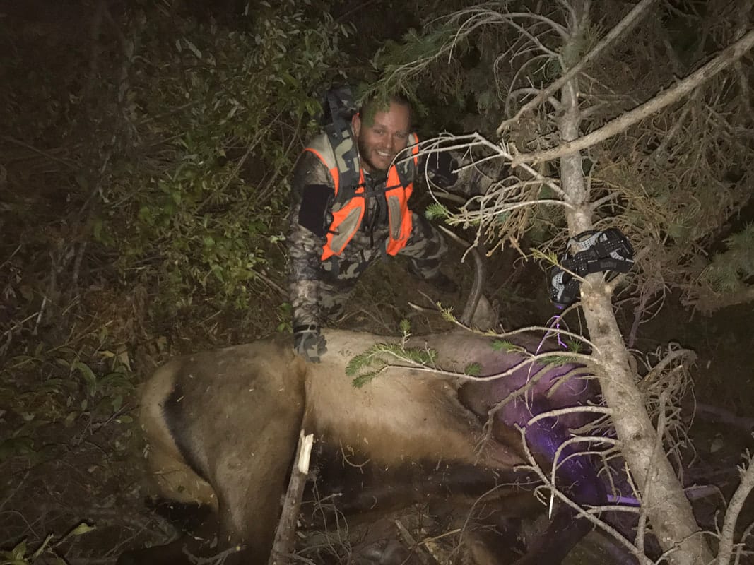 A hunter in camouflage and an orange vest poses with a harvested elk in a wooded area at night.
