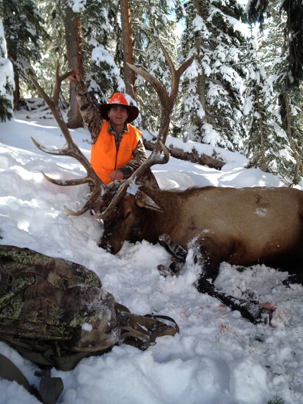 A hunter in an orange vest and hat poses with a harvested elk in a snowy forest.