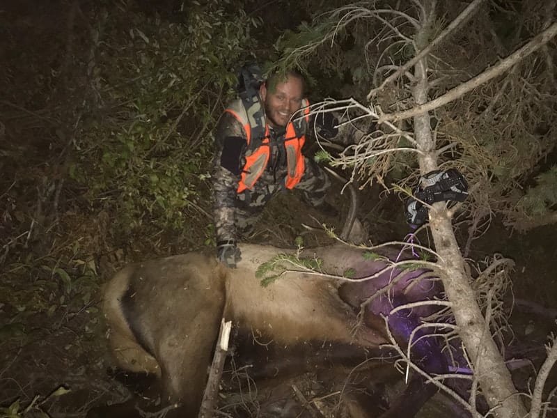 A hunter in camouflage and an orange vest poses with a harvested elk in a wooded area at night.
