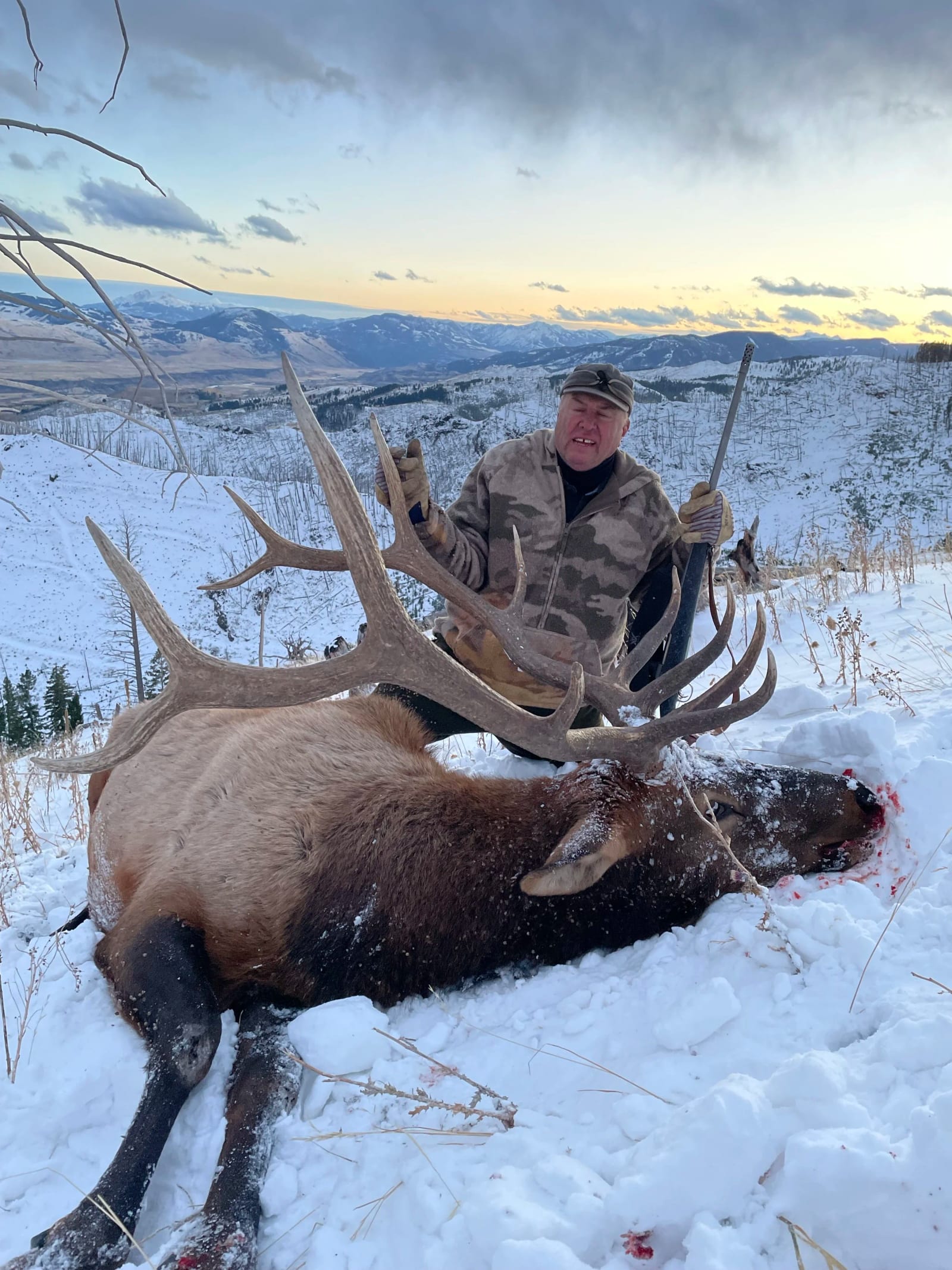 A hunter poses with a harvested elk in a snowy, mountainous landscape.