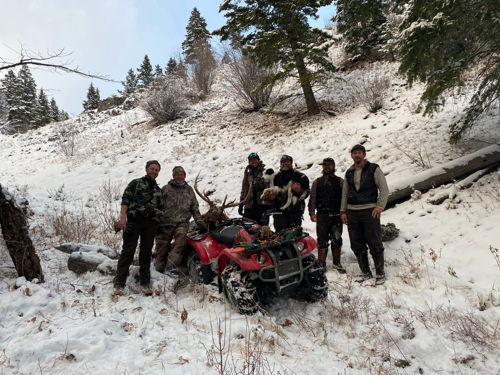 Several hunters pose with a harvested elk on an ATV in a snowy, forested landscape.