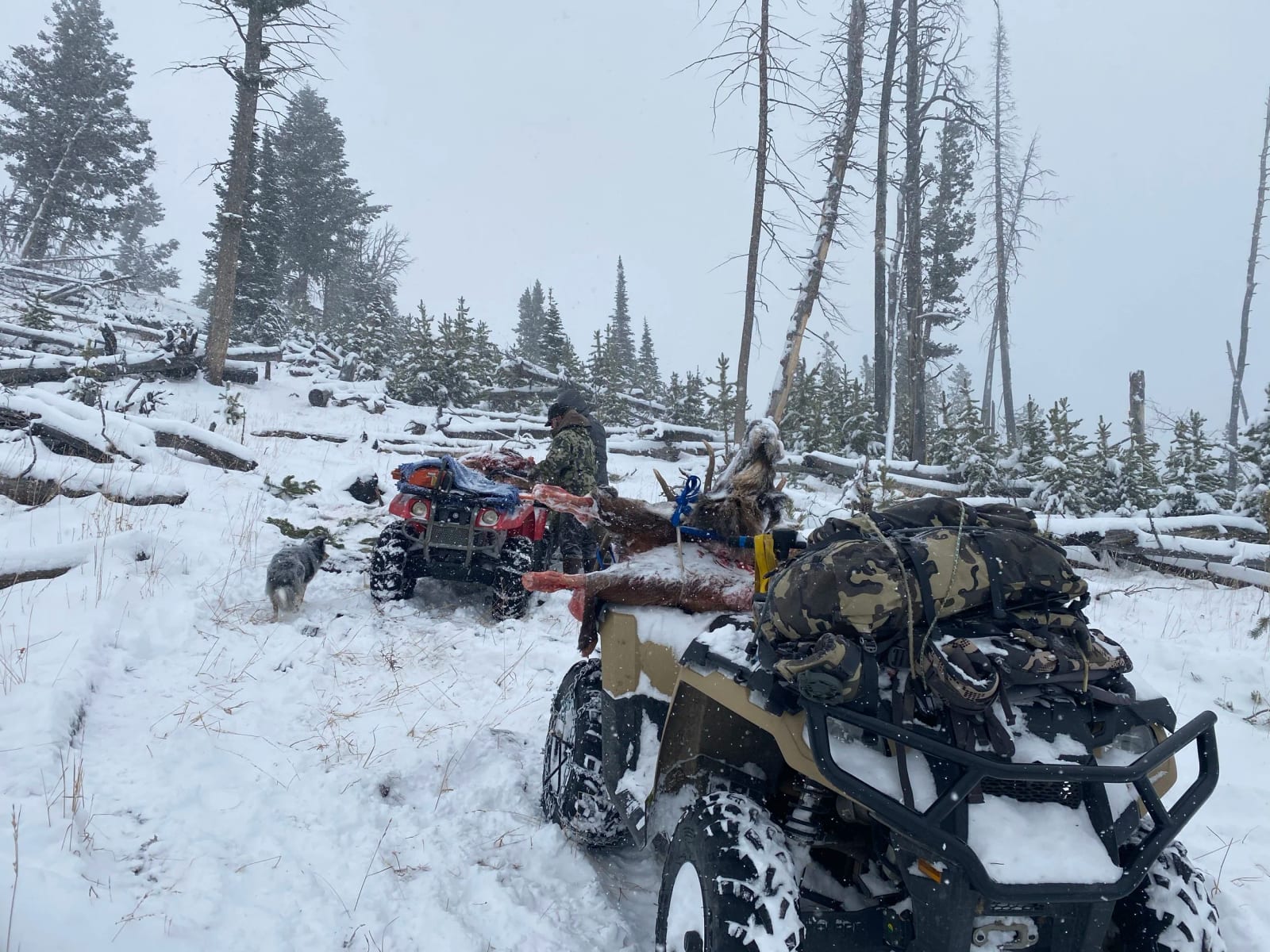 Hunters with a harvested animal on ATVs in a snowy, forested landscape.