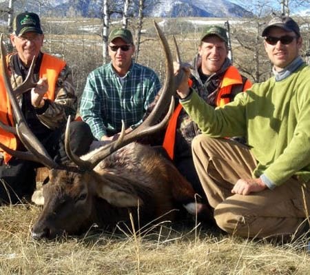 Four hunters pose with a harvested elk in a field.