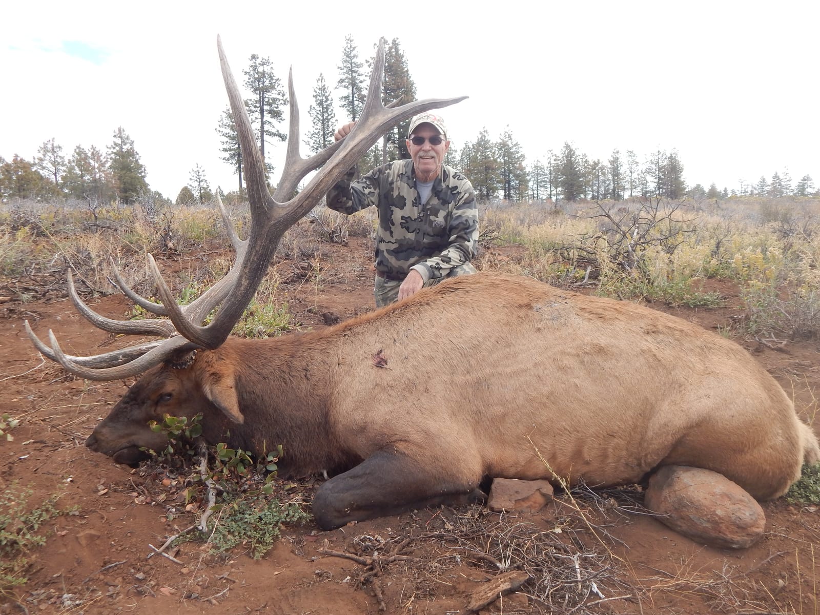 376"