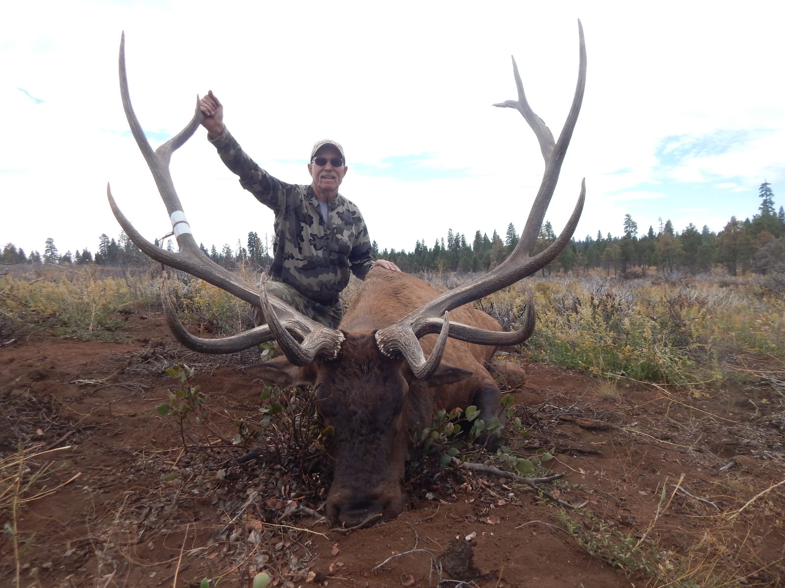 376"