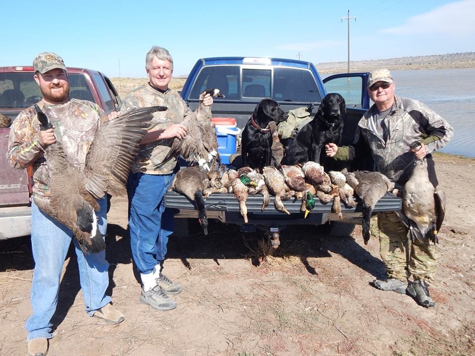 Three hunters and two dogs pose with a large harvest of Canada geese and ducks in front of pickup trucks near water.