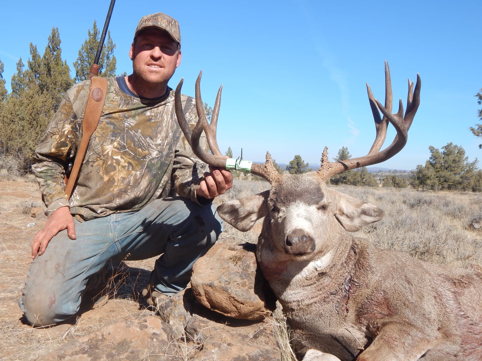 A hunter kneels next to a harvested mule deer with large antlers.
