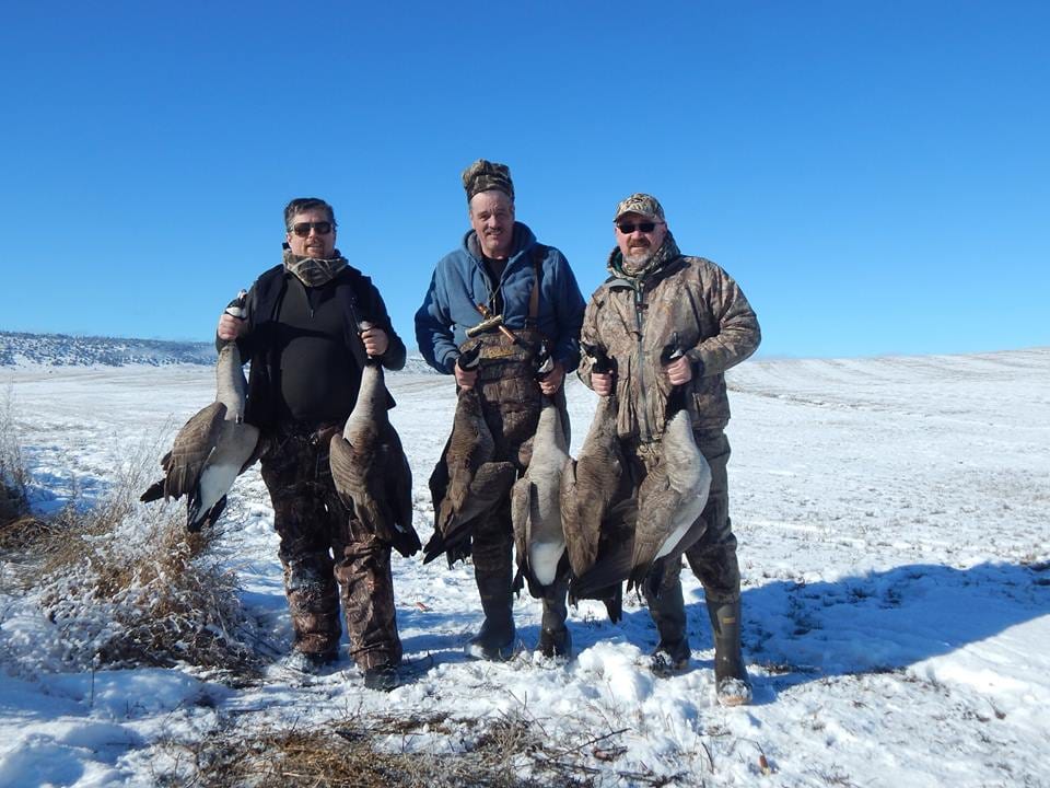 Three hunters pose with harvested Canada Geese in a snowy field under a clear blue sky.