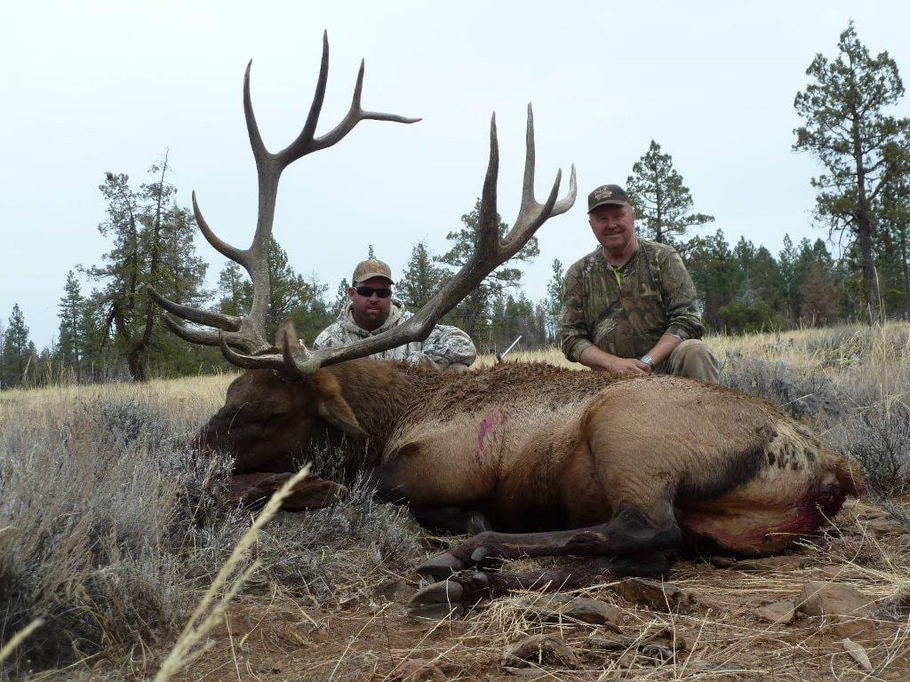 Two hunters pose with a harvested elk in a field.