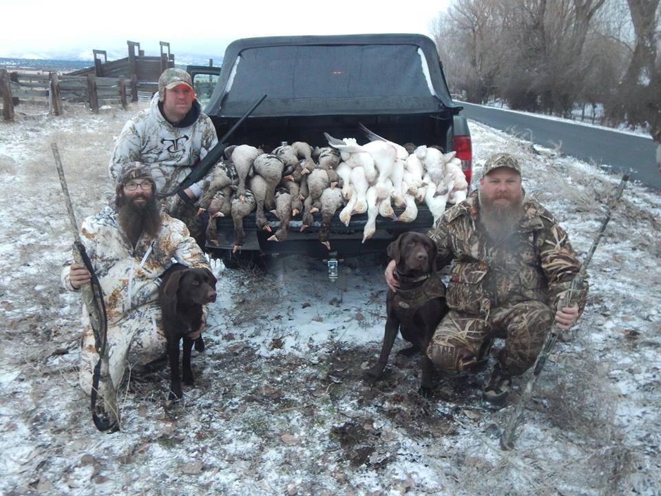 Three hunters and two dogs pose with a truck bed full of harvested geese in a snowy field.