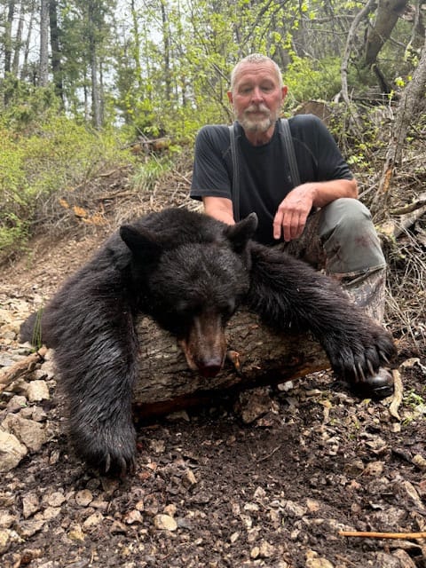 A hunter poses with a harvested black bear in a wooded area.