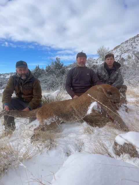 Three hunters pose with a harvested mountain lion in a snowy landscape.