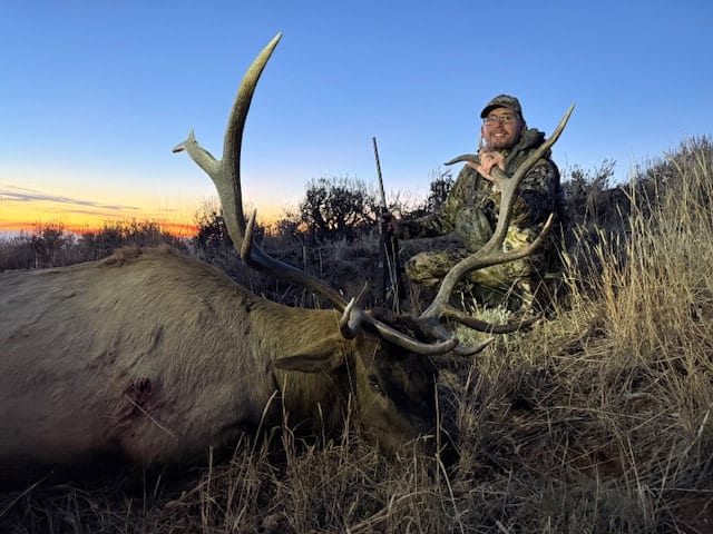 A hunter poses with a harvested elk at sunset.