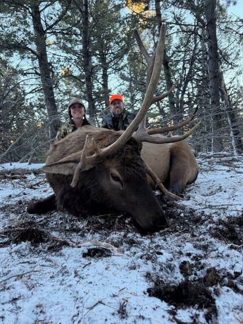 Two hunters pose with a harvested elk in a snowy, wooded environment.