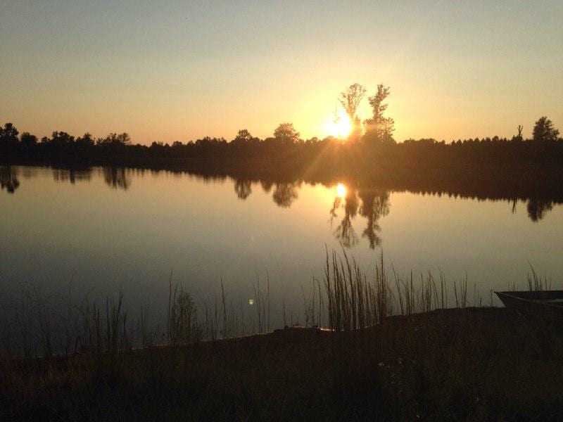 A sunset over a calm body of water with trees reflecting on the surface.