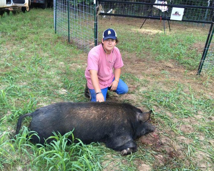 A person kneels next to a harvested wild boar on the ground.