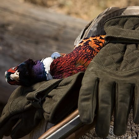 A harvested ring-necked pheasant rests on hunting gloves and a shotgun.