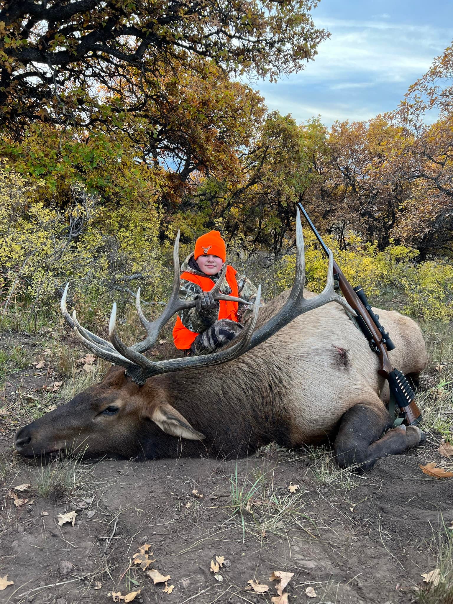 elk