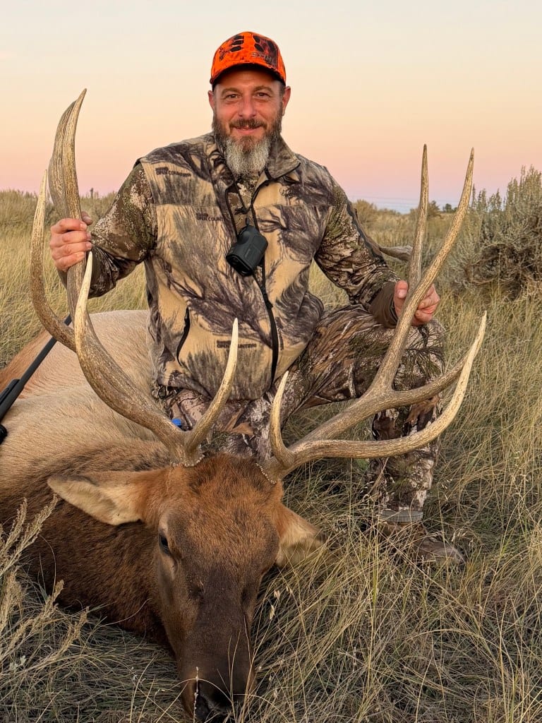 A hunter in camouflage poses with a harvested elk in a grassy field at dusk.