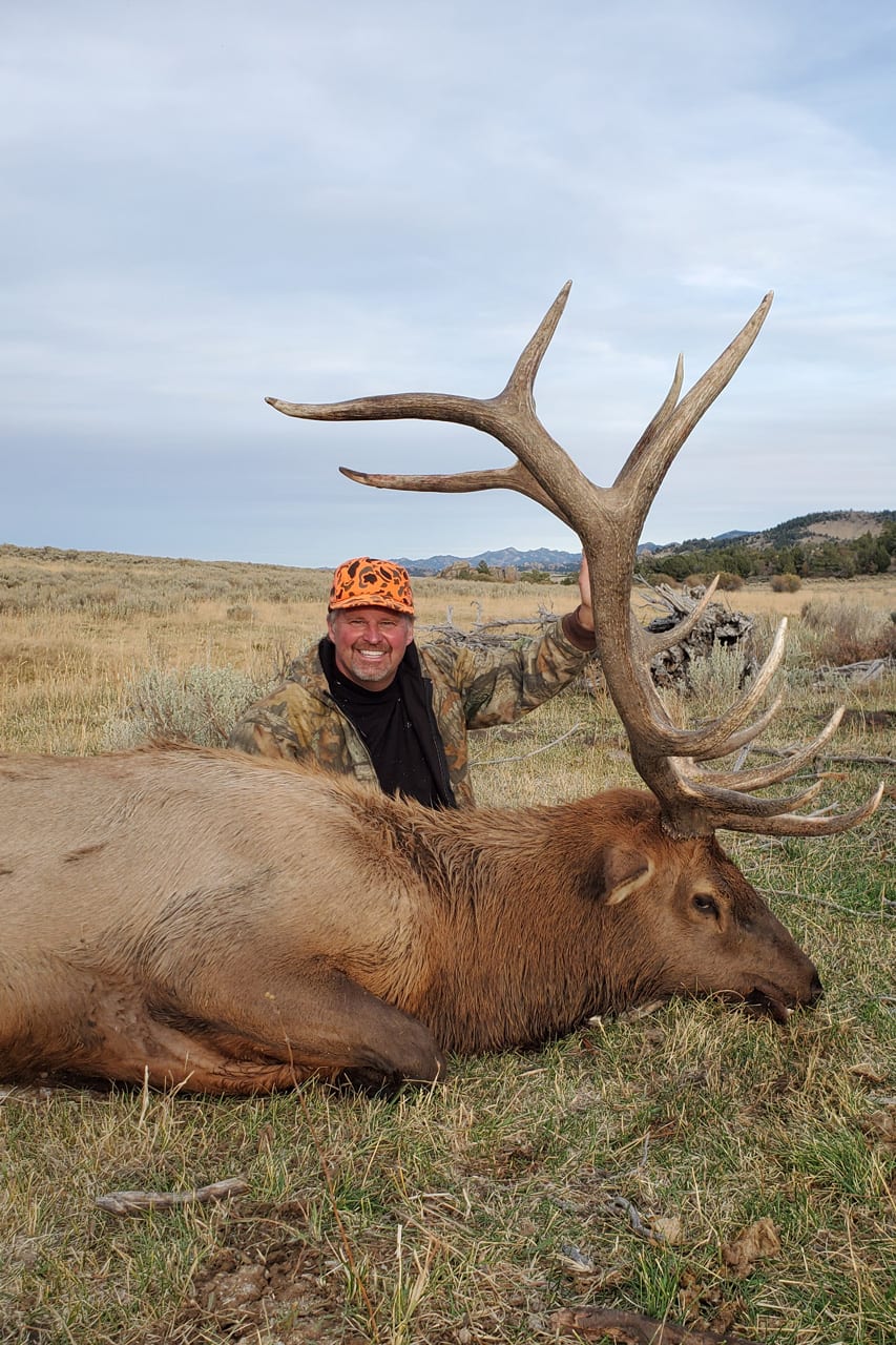 Elk Hunts