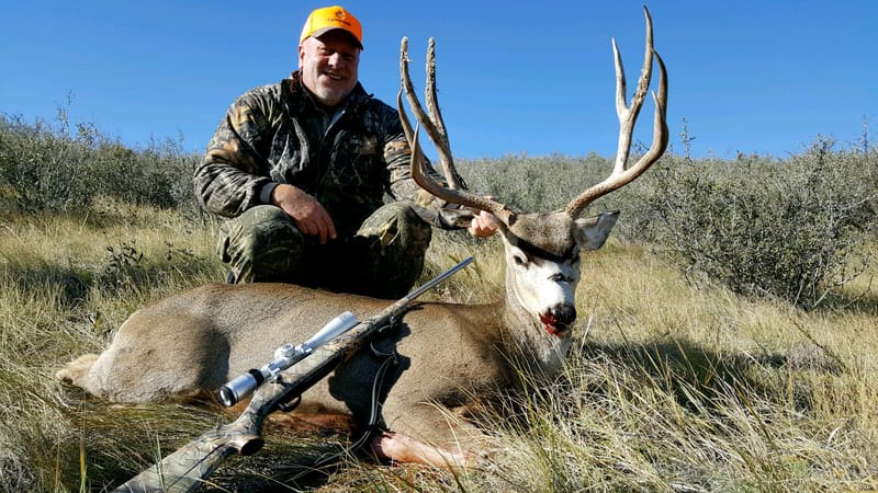 mule deer hunts