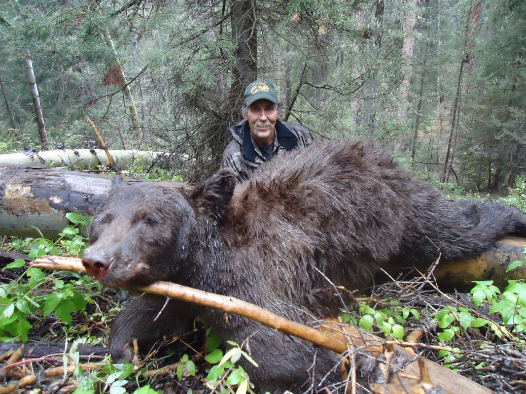 Wyoming Archery Black bear fall hunt