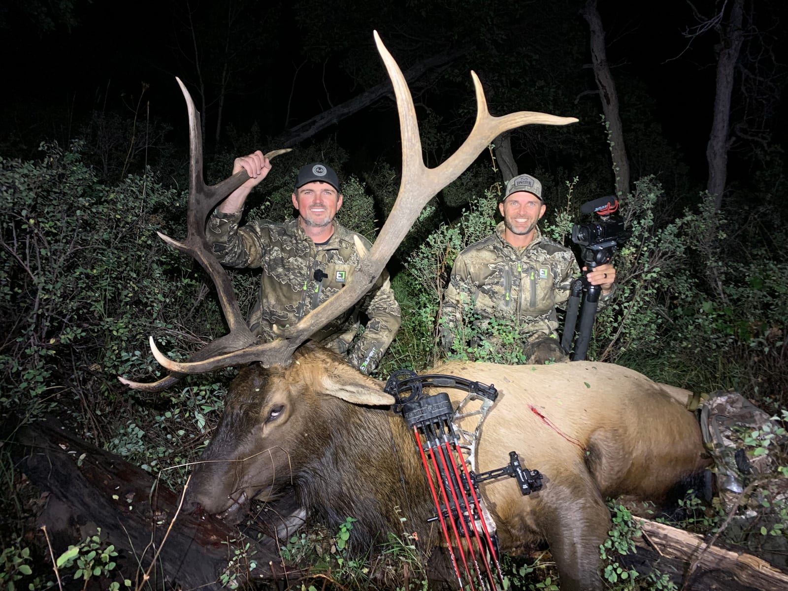 Colorado Elk Hunting