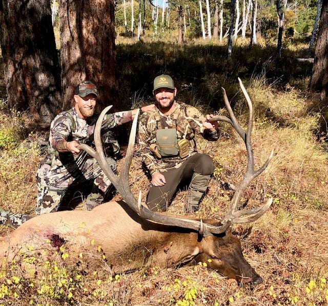 Elk Hunting in Colorado