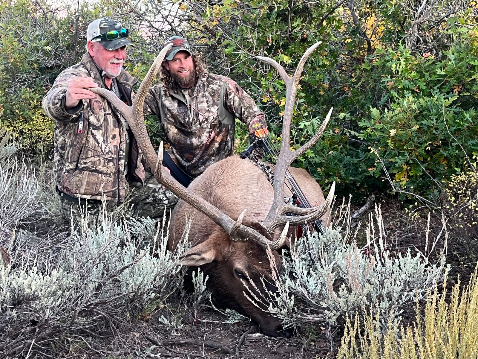 Elk Hunting in Colorado