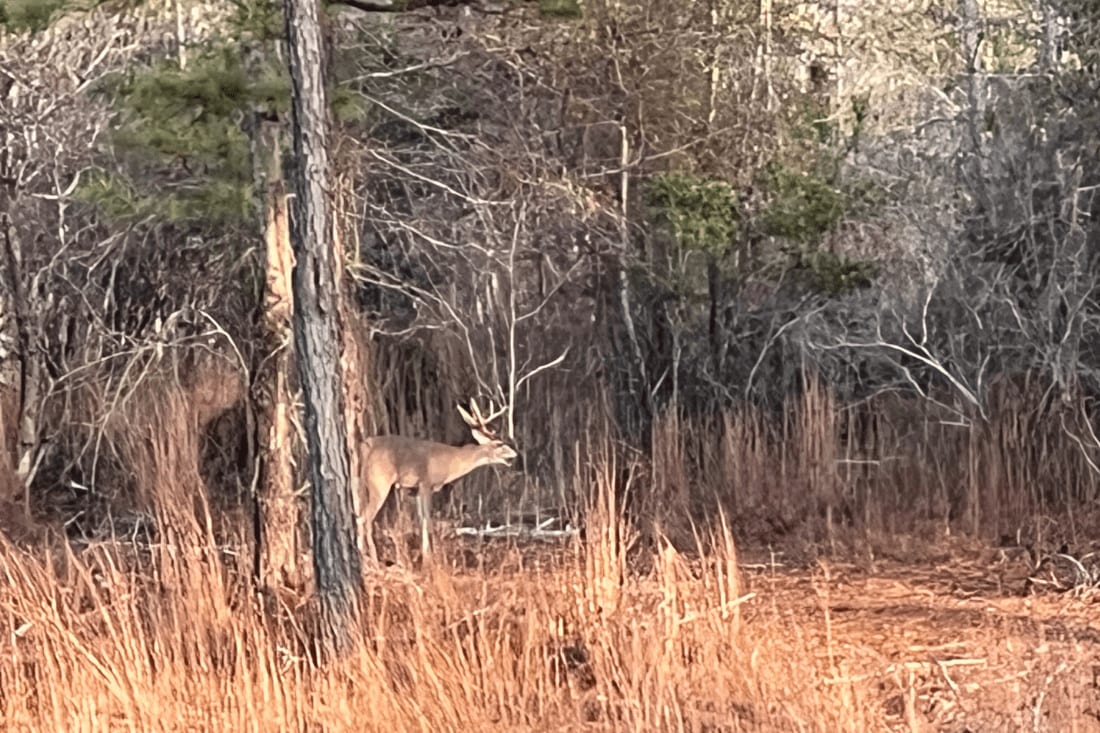Traditions Hunting and Fishing