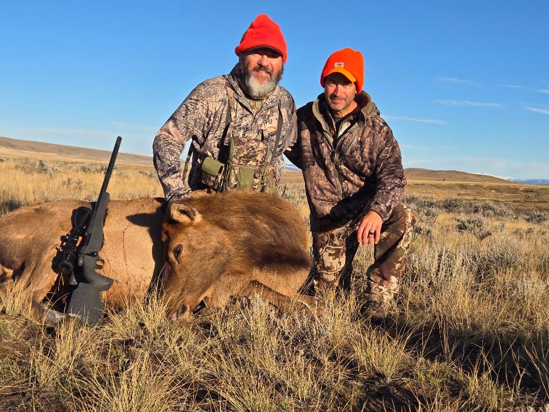 Two hunters pose with a harvested elk in a field.