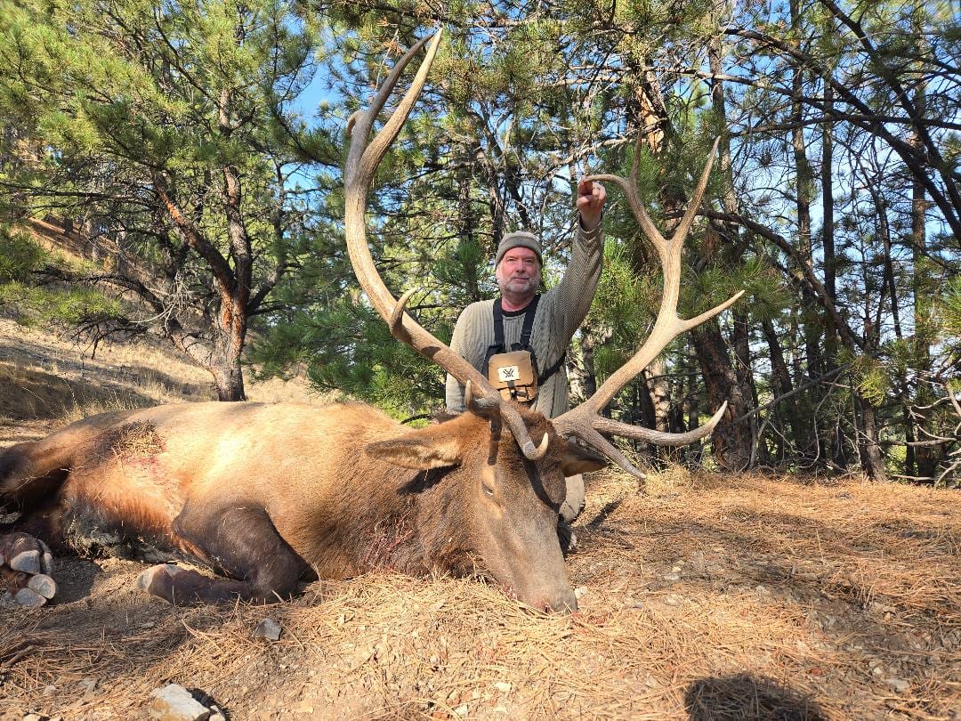 trophy-elk-hunting-outfitter-ne-wyoming