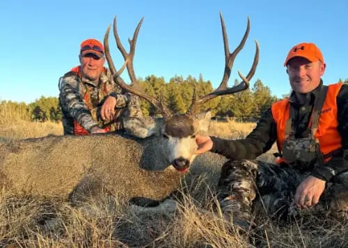 Two hunters pose with a harvested mule deer in a grassy field.