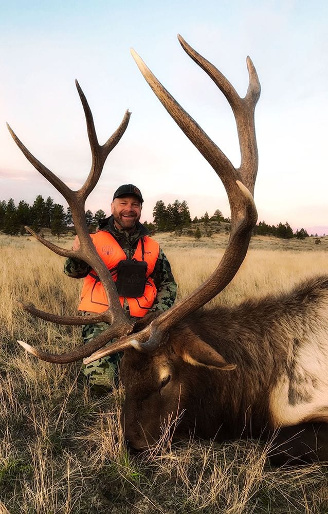 A hunter in an orange vest poses with a harvested elk in a grassy field.
