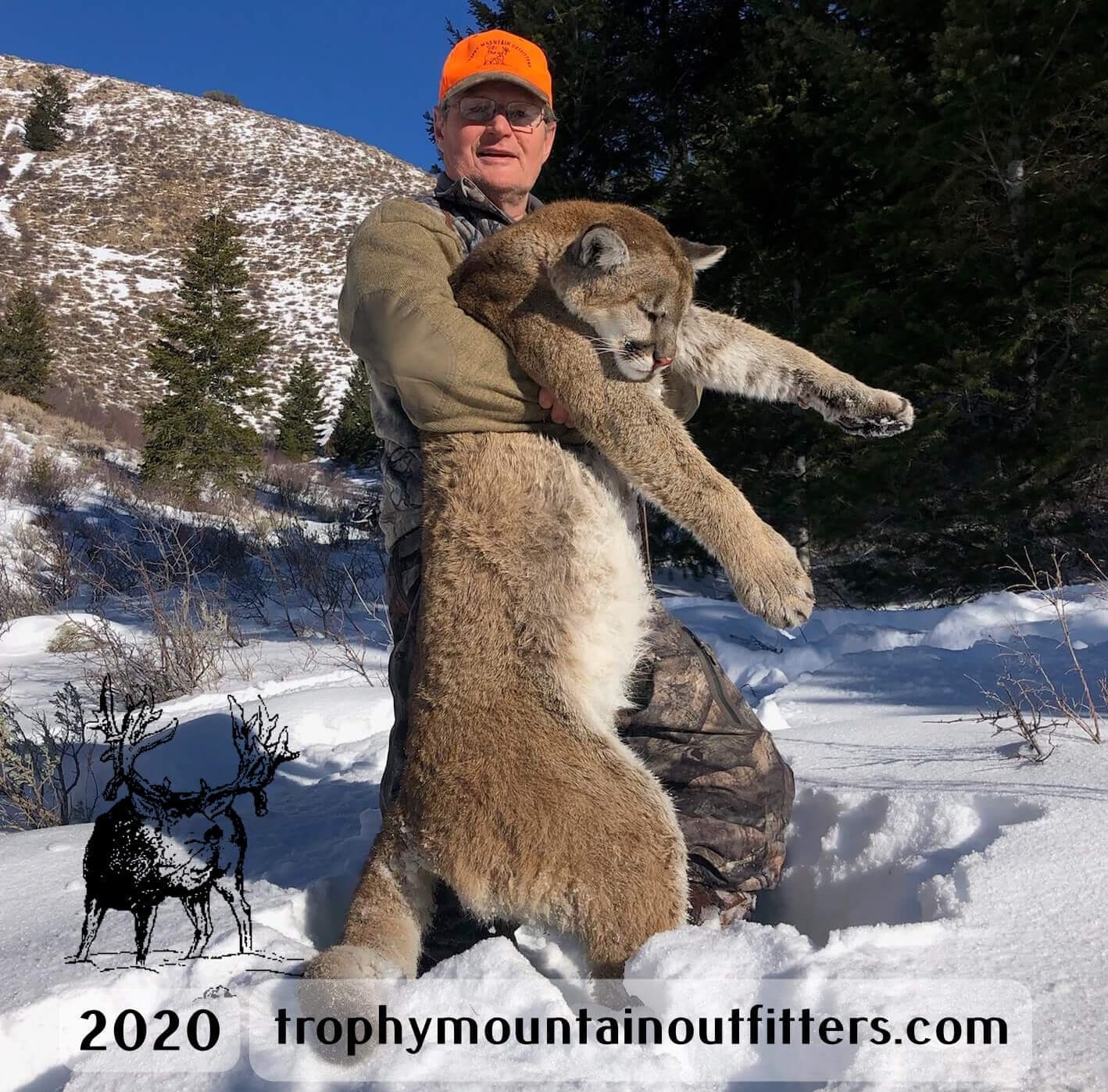 A hunter in an orange hat holds a harvested mountain lion in a snowy, mountainous landscape.