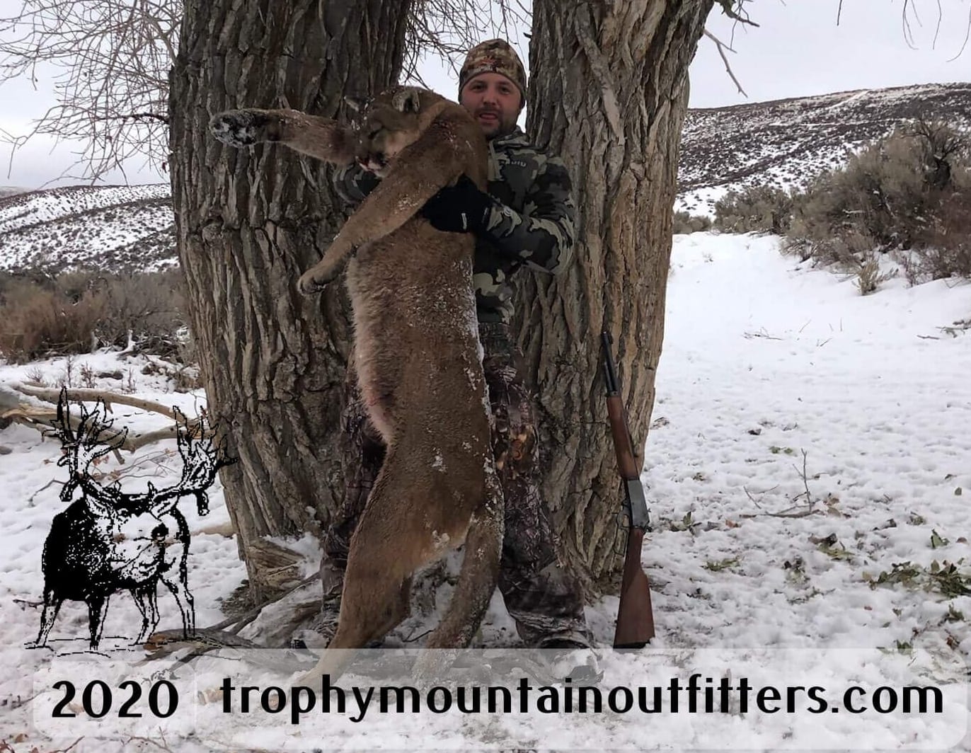 A hunter in camouflage poses with a harvested mountain lion next to a tree in a snowy landscape.