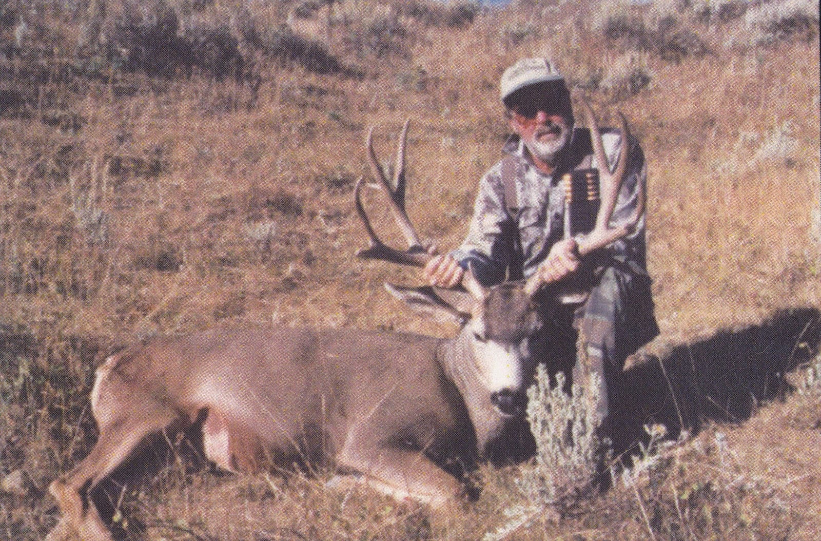 Mule+Deer.jpg
