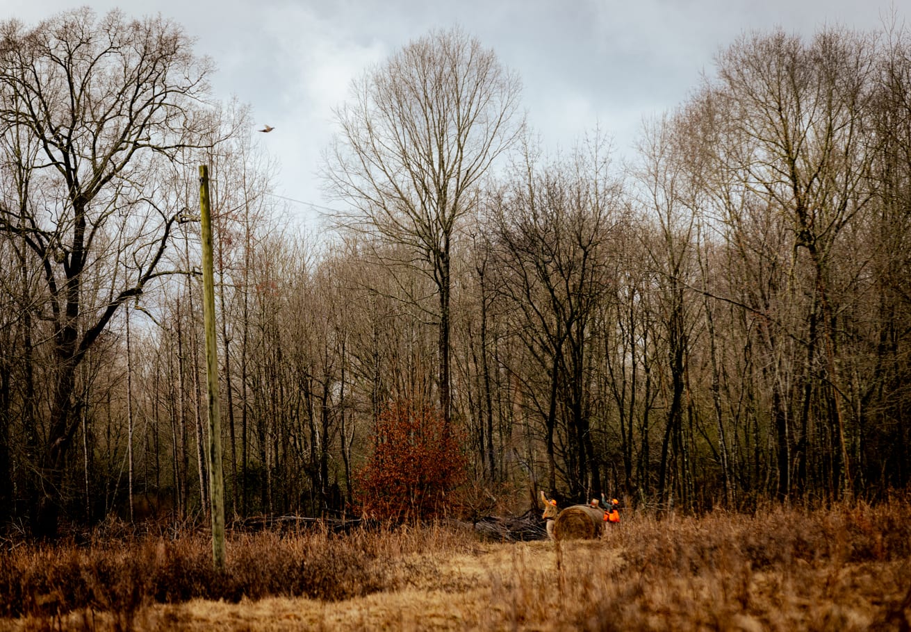 Hunters in orange vests with a harvested deer in a field.