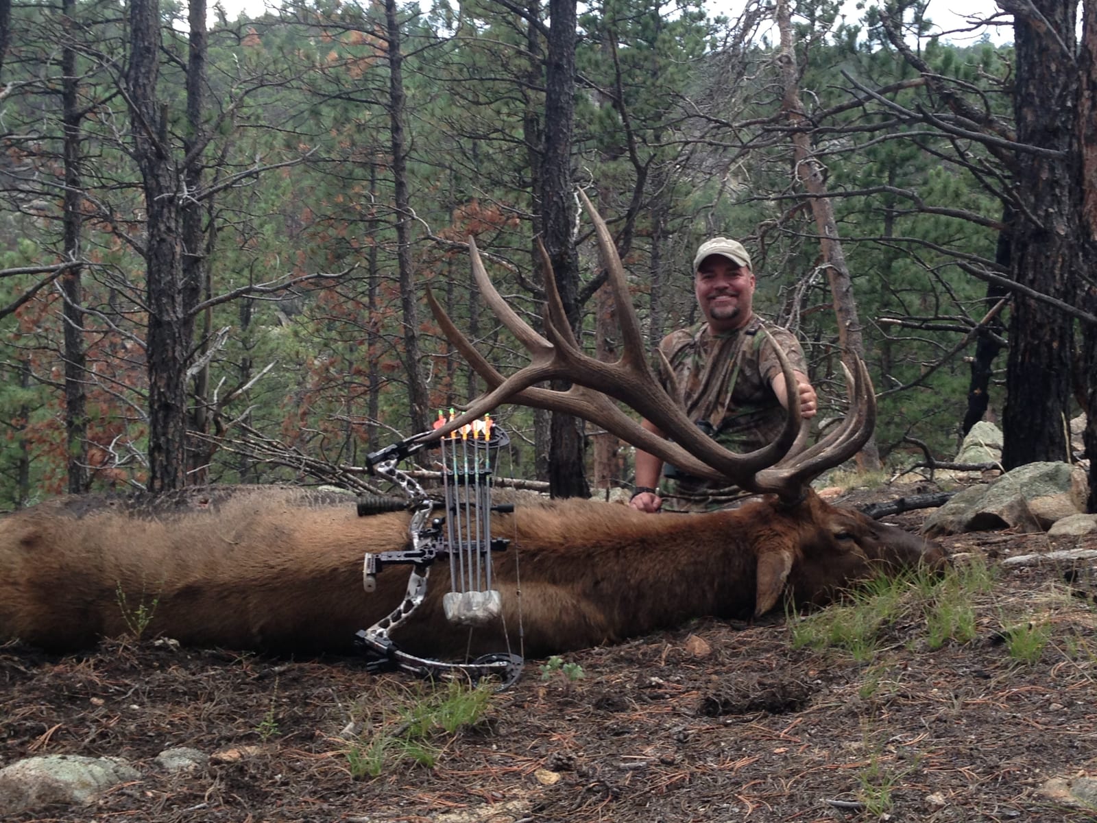 ELK GALLERY