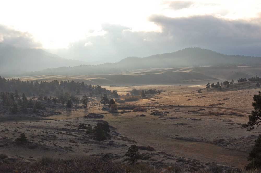 THE LANDSCAPE