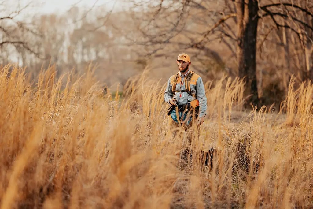 A hunter in a cap and vest walks through tall, dry grass in a field.