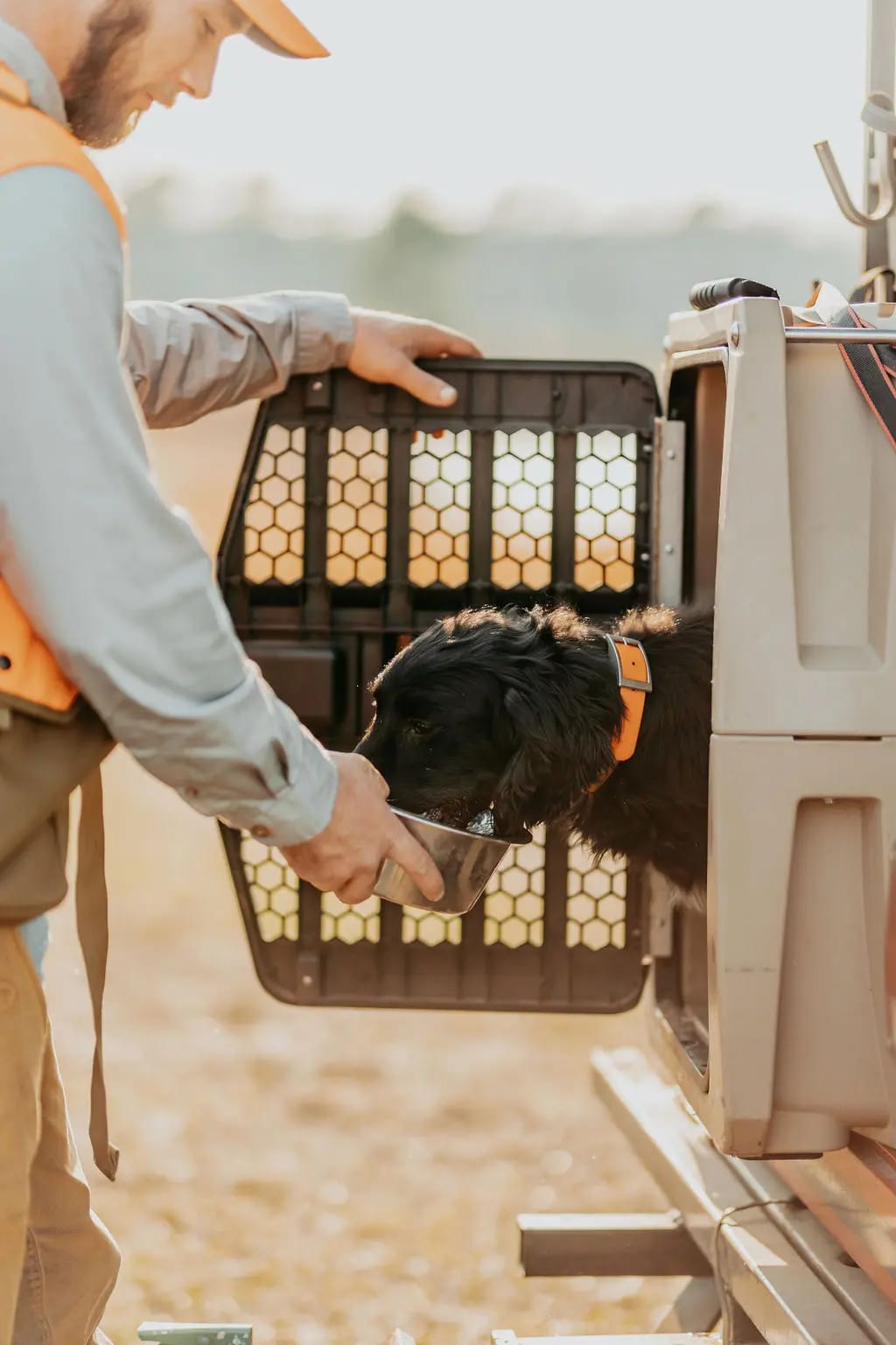 A man feeds a black dog from a bowl while the dog is in a crate.