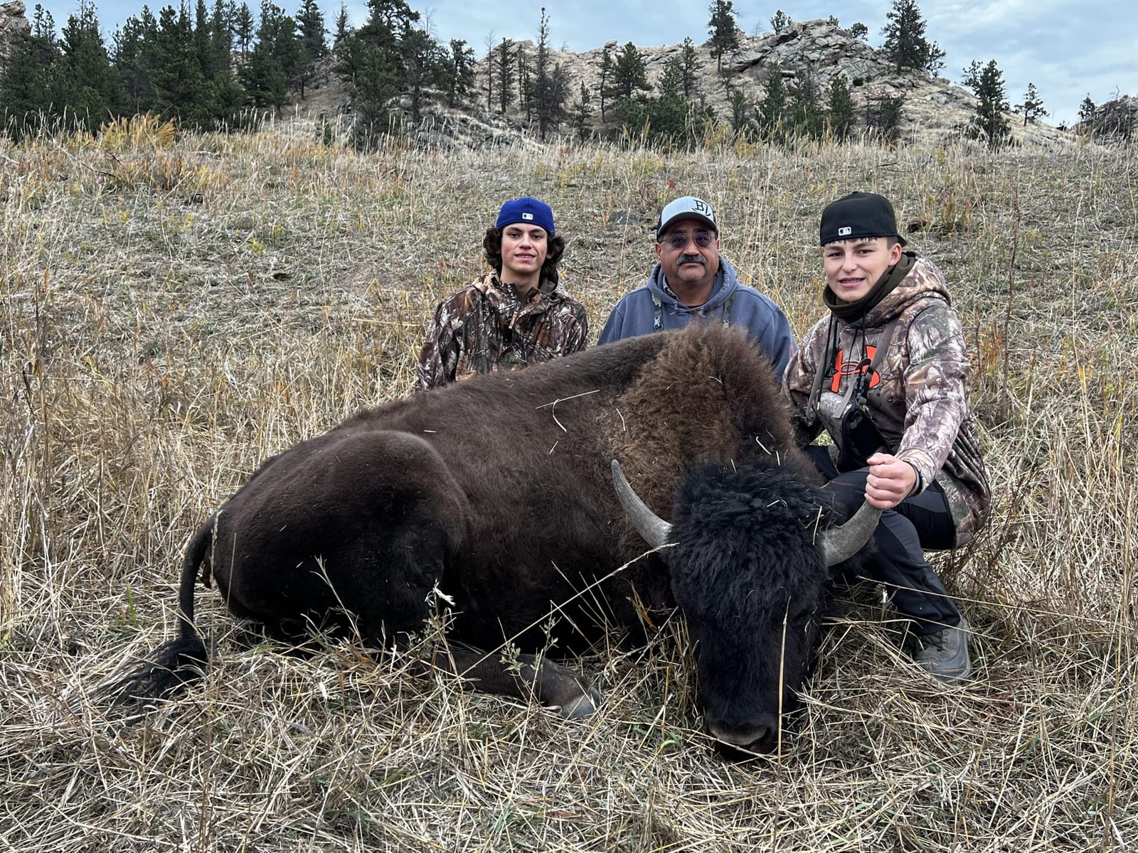 The Bison Hunts