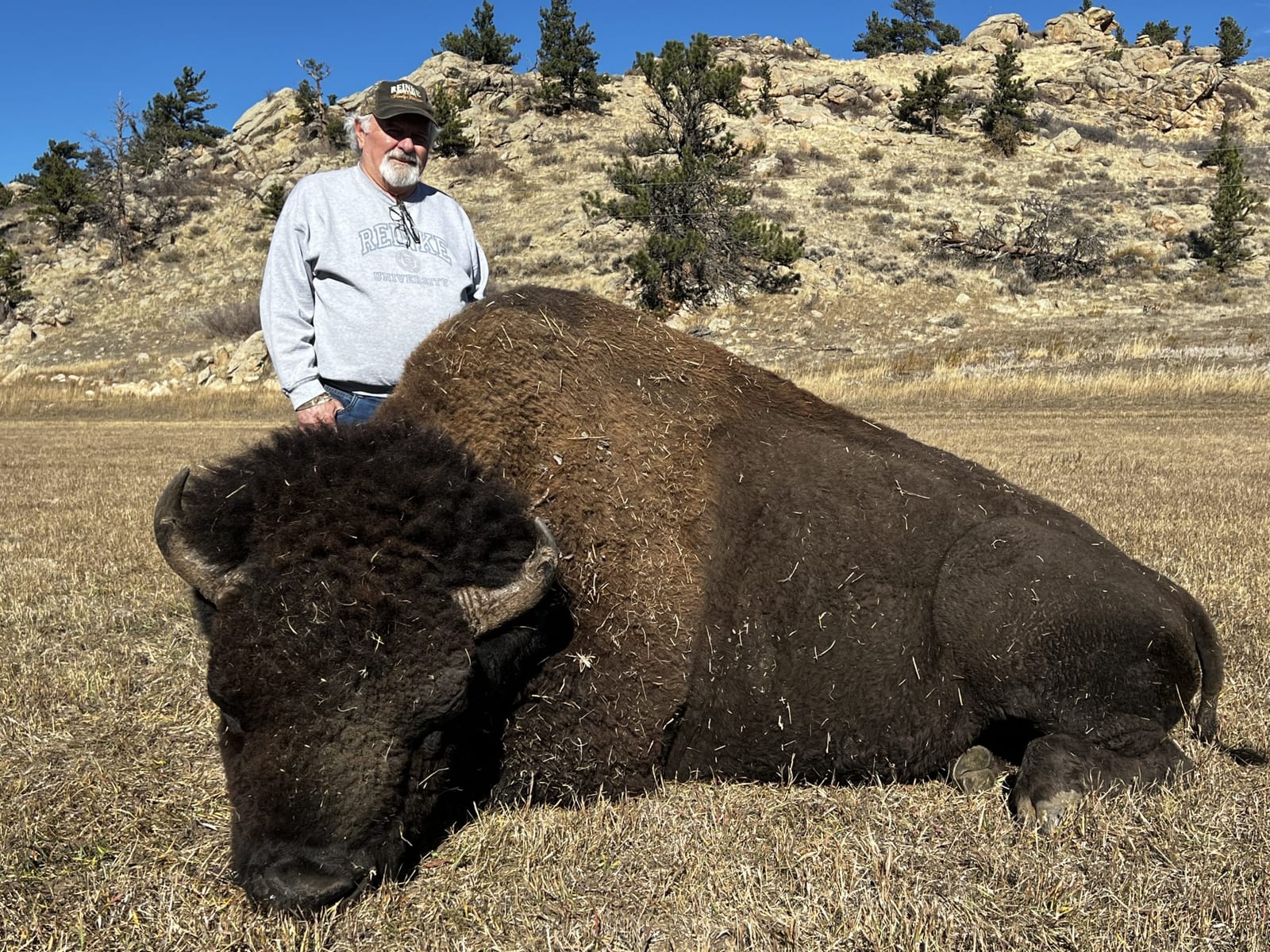 Trophy Bison Bull Hunts 2