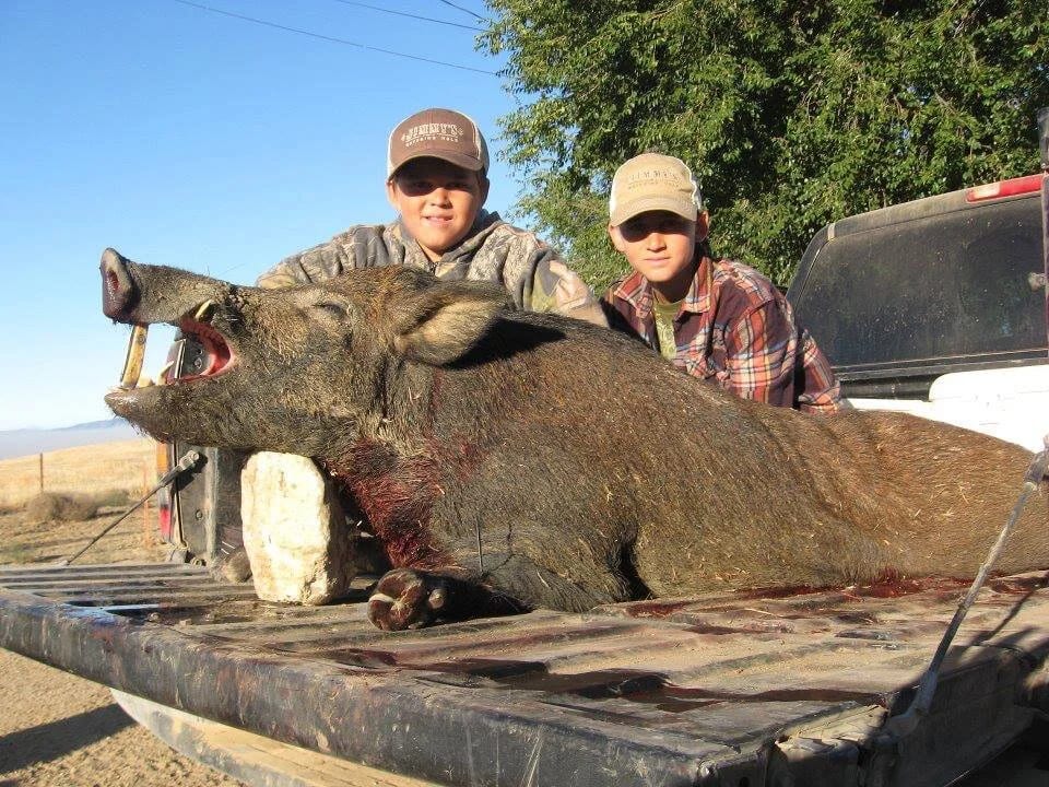 hog.jpg