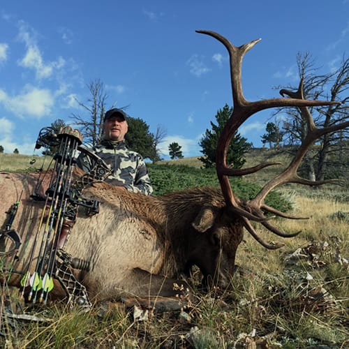 Wyoming Elk Hunts